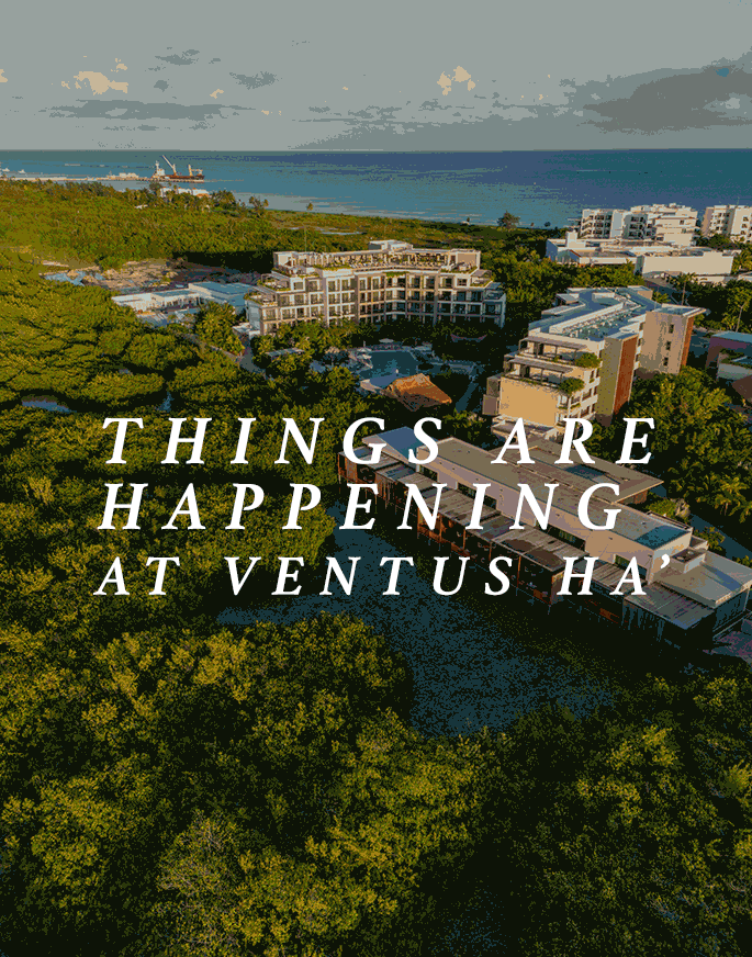 Things are happening at Ventus Ha'