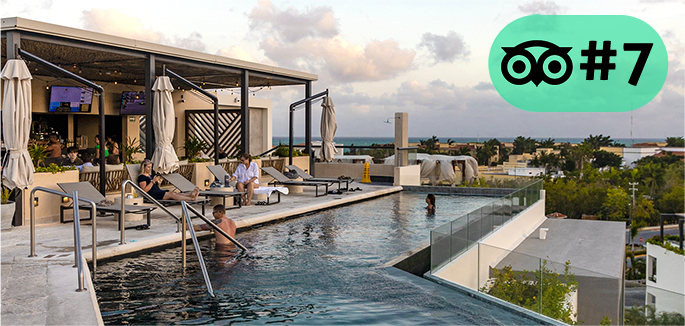 We are the #7 in Tripadvisor